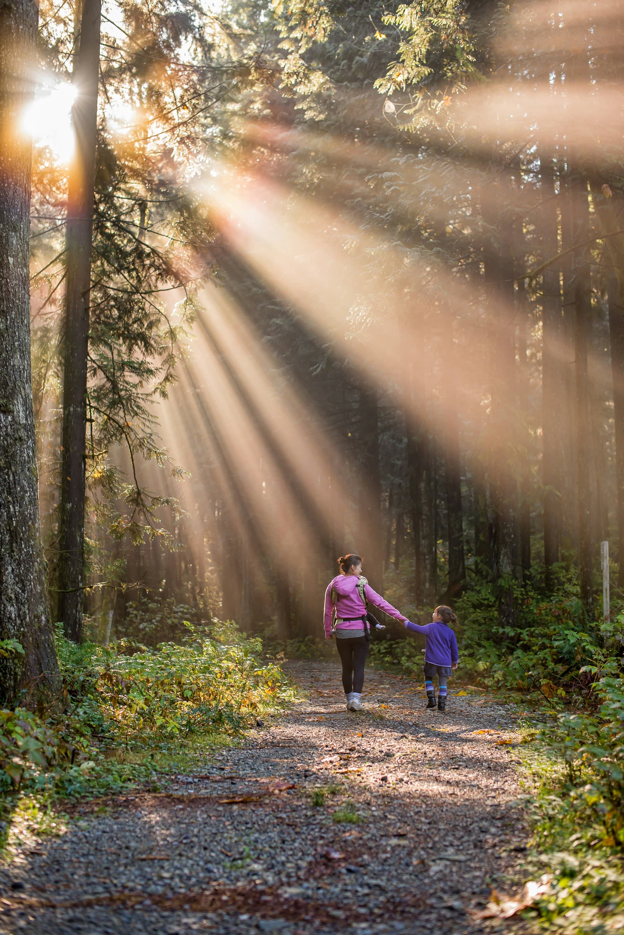 A mother and child walk hand in hand through a sunlit forest, surrounded by rays of light filtering through the trees.